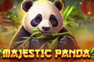 66ck – Sân chơi cá cược trực tuyến